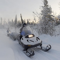 Snowmobiles for Sale
